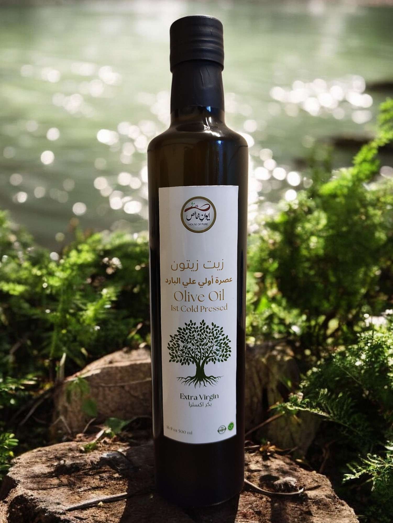 Olive Oil 500g